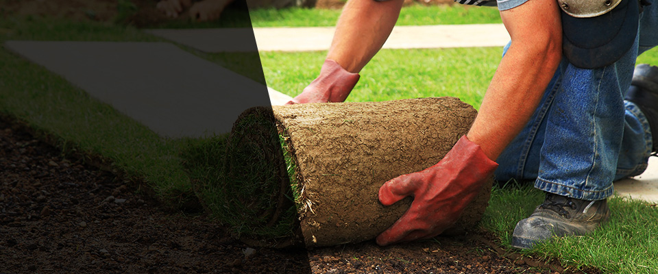 Allentown Landscapers